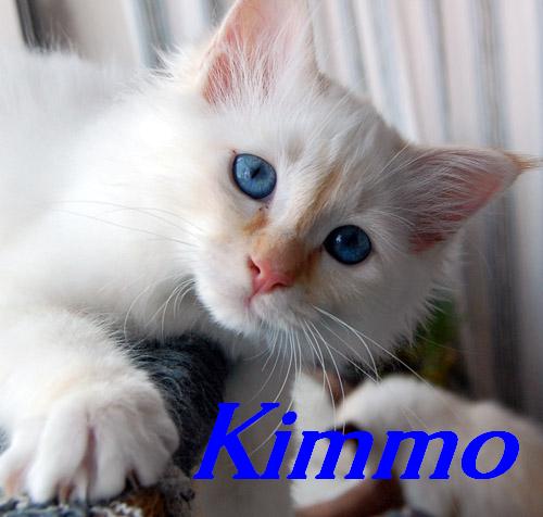 Kimmo als Baby