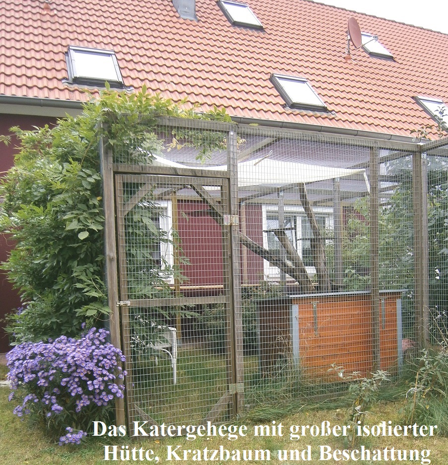 Freigehege für den Kater