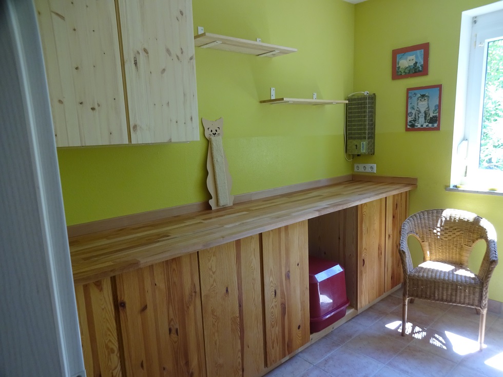 Kittenzimmer