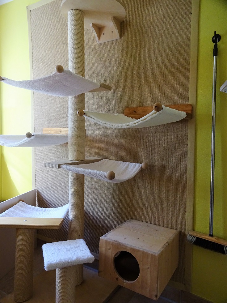 Kittenzimmer