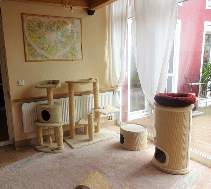 Kittenzimmer 2