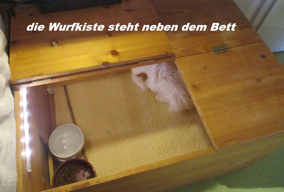 Die Wurfkiste