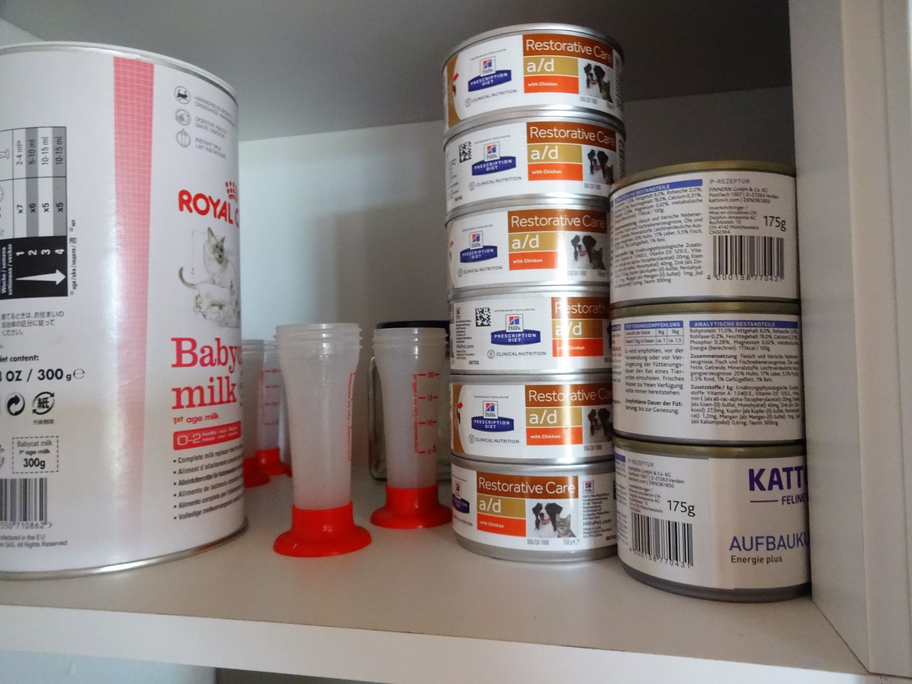 Brutkasten