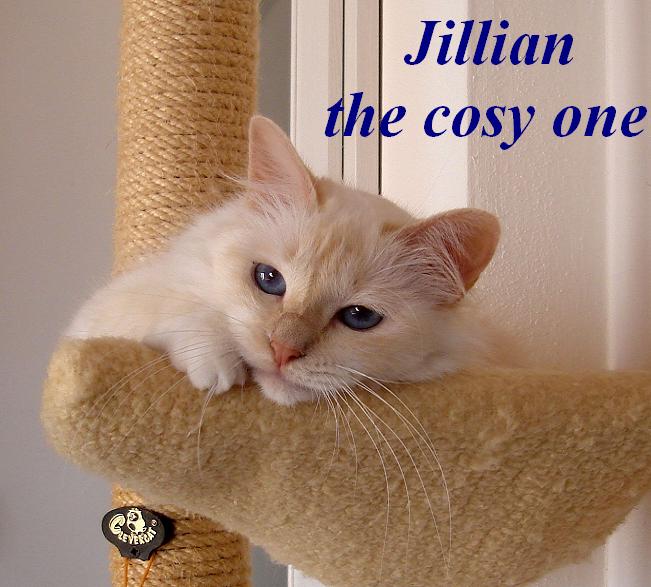 Jillian, Cream Point, groß