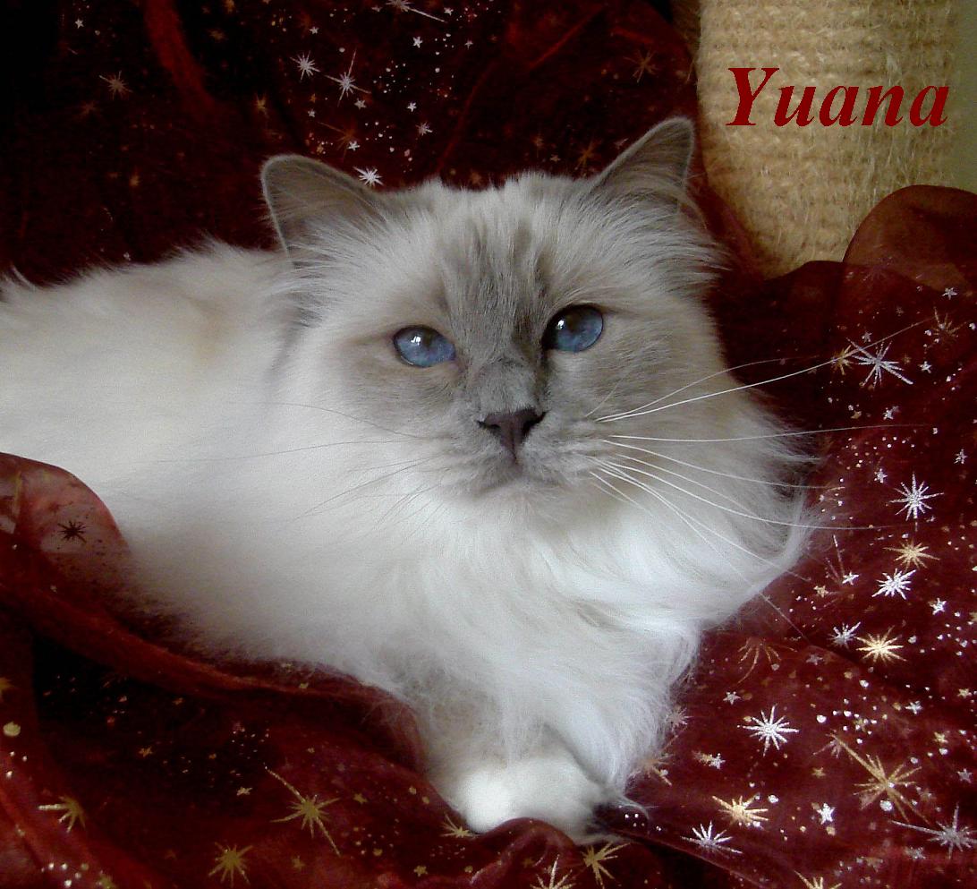 Yuana the cosy one