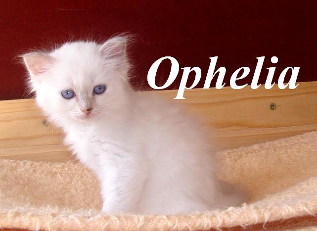 Ophelia