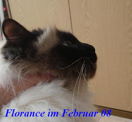 Florance the cosy One