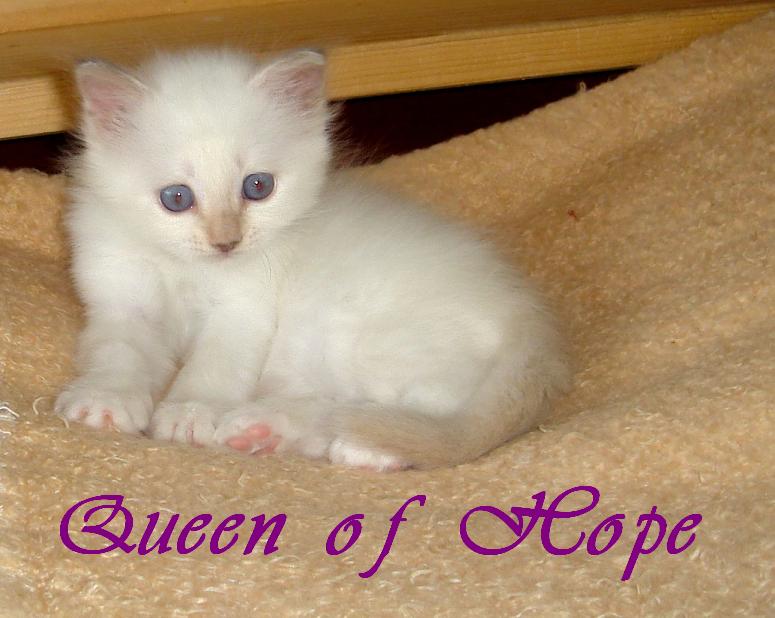 Queen of Hope