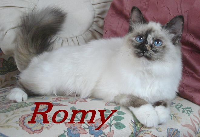 Romy