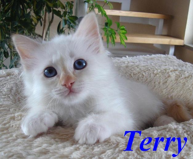 Terry the cosy One