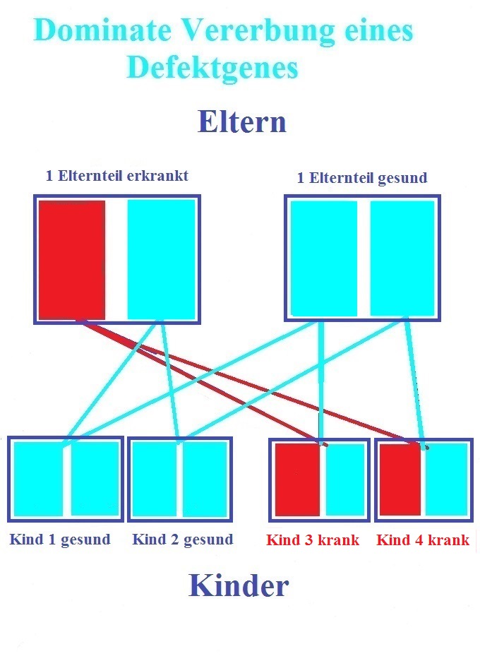 Erbfehler