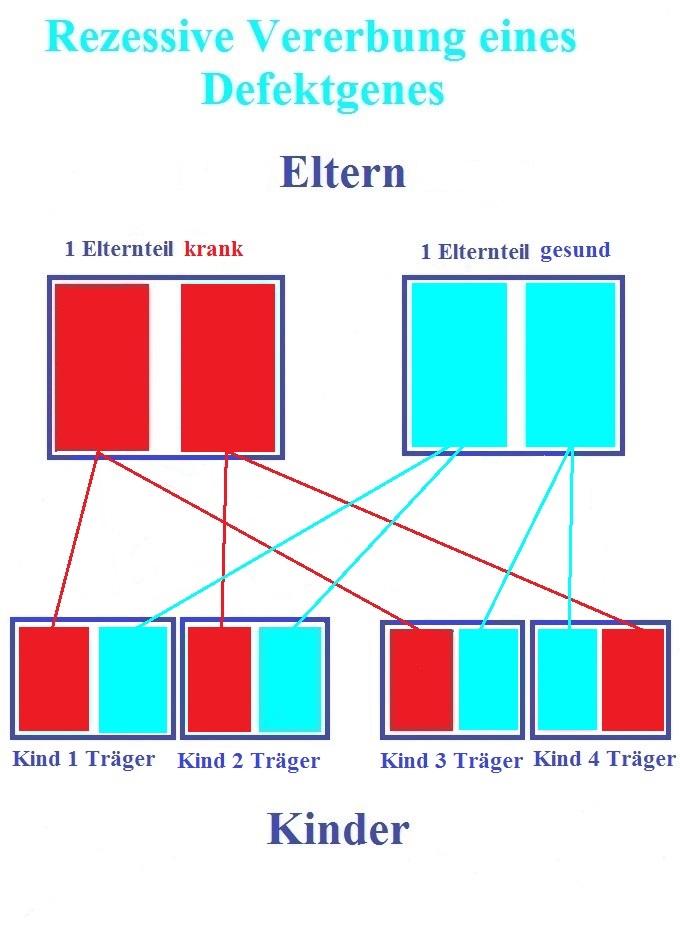 Erbfehler