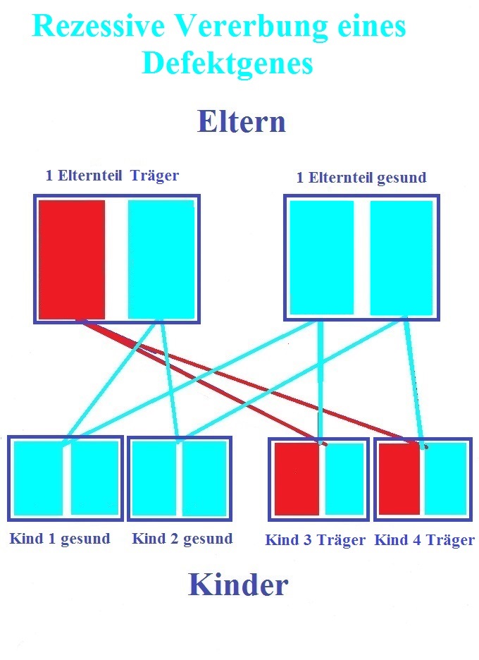 Erbfehler