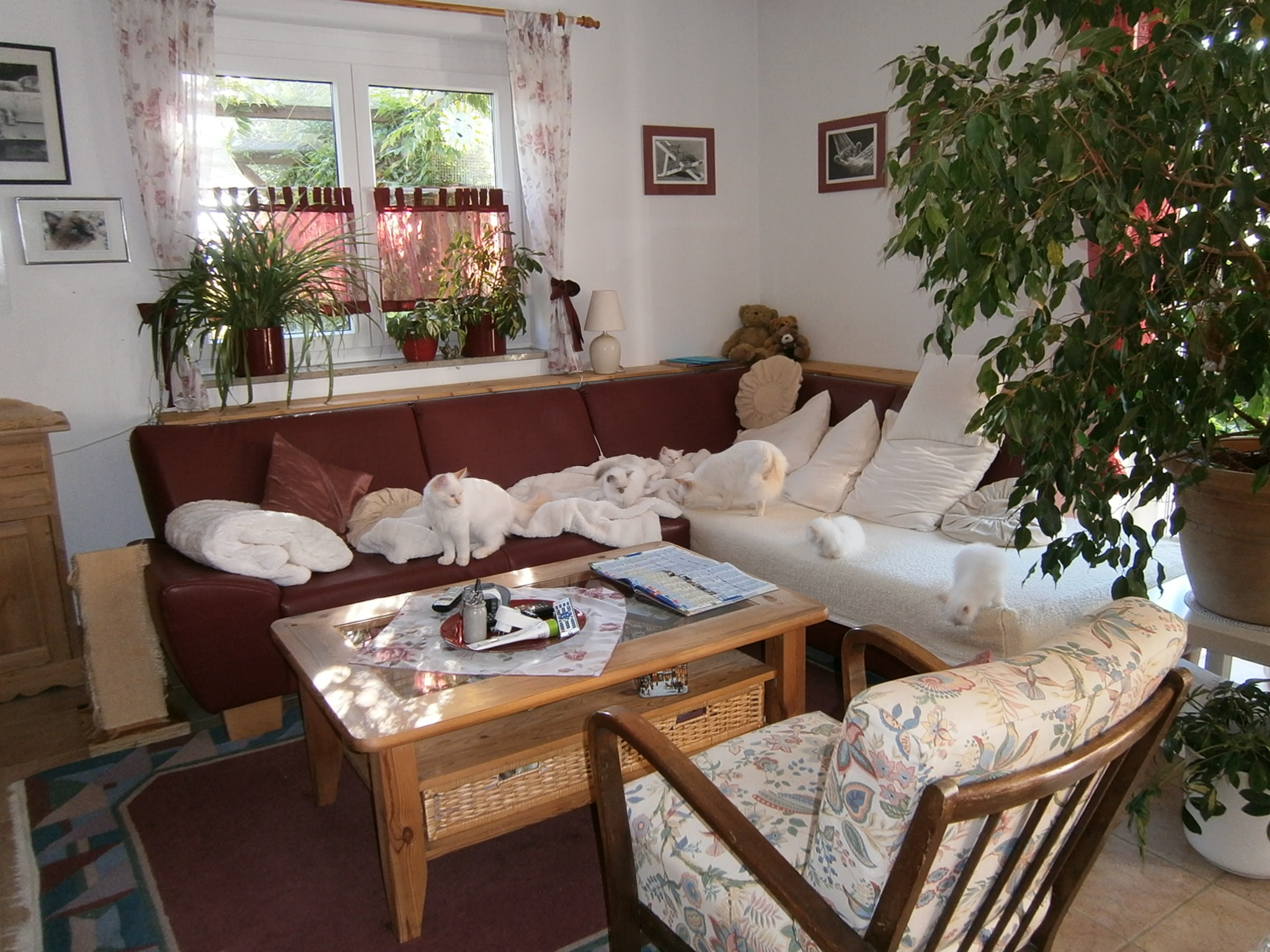 Unser Wohnzimmer