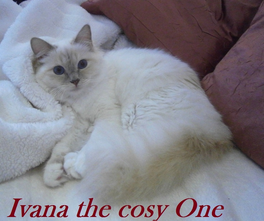 Ivana the cosy One
