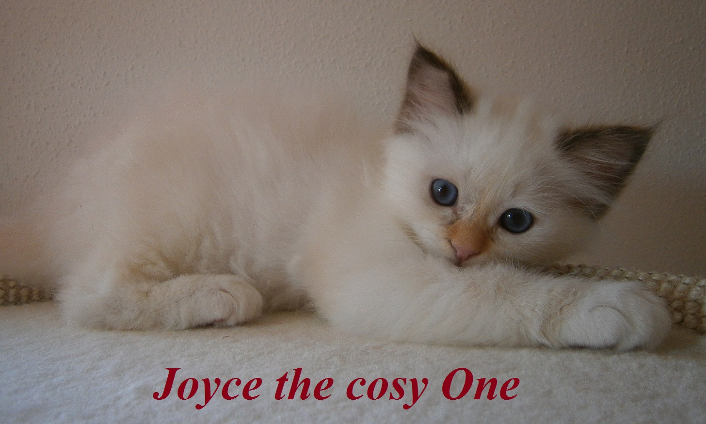 Joyce