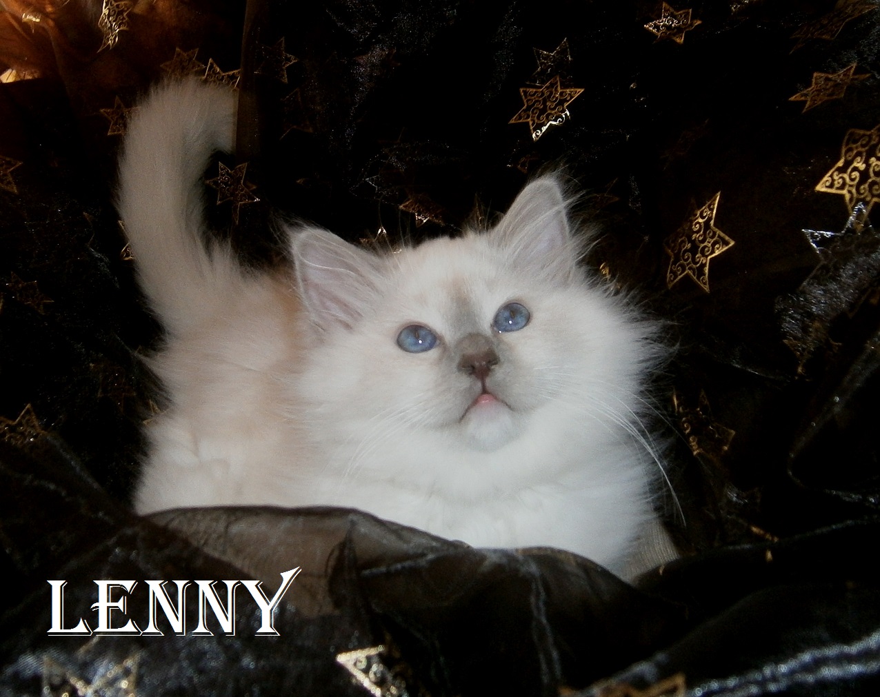 Lenny