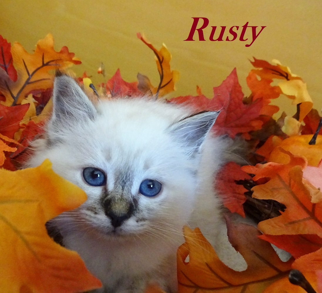 Rusty