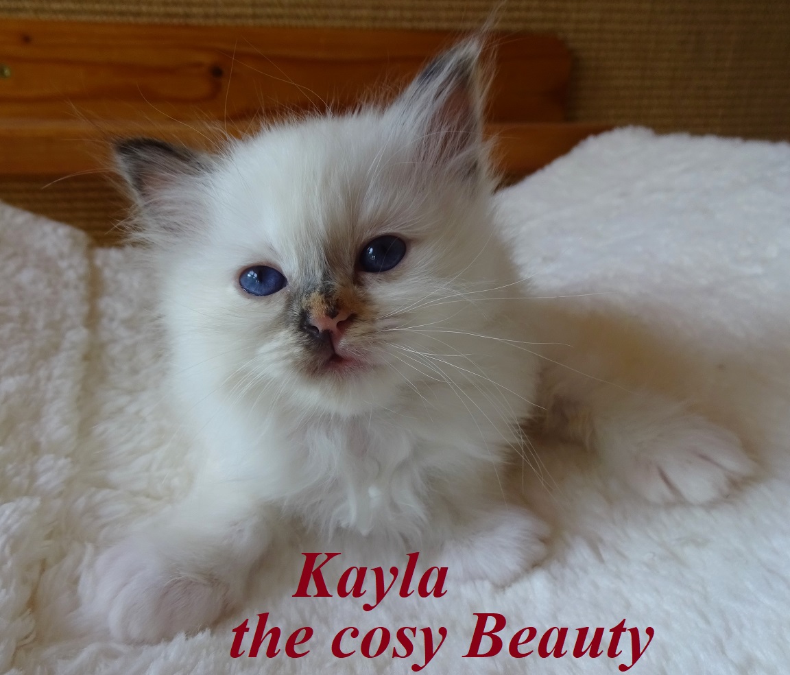 Kayla