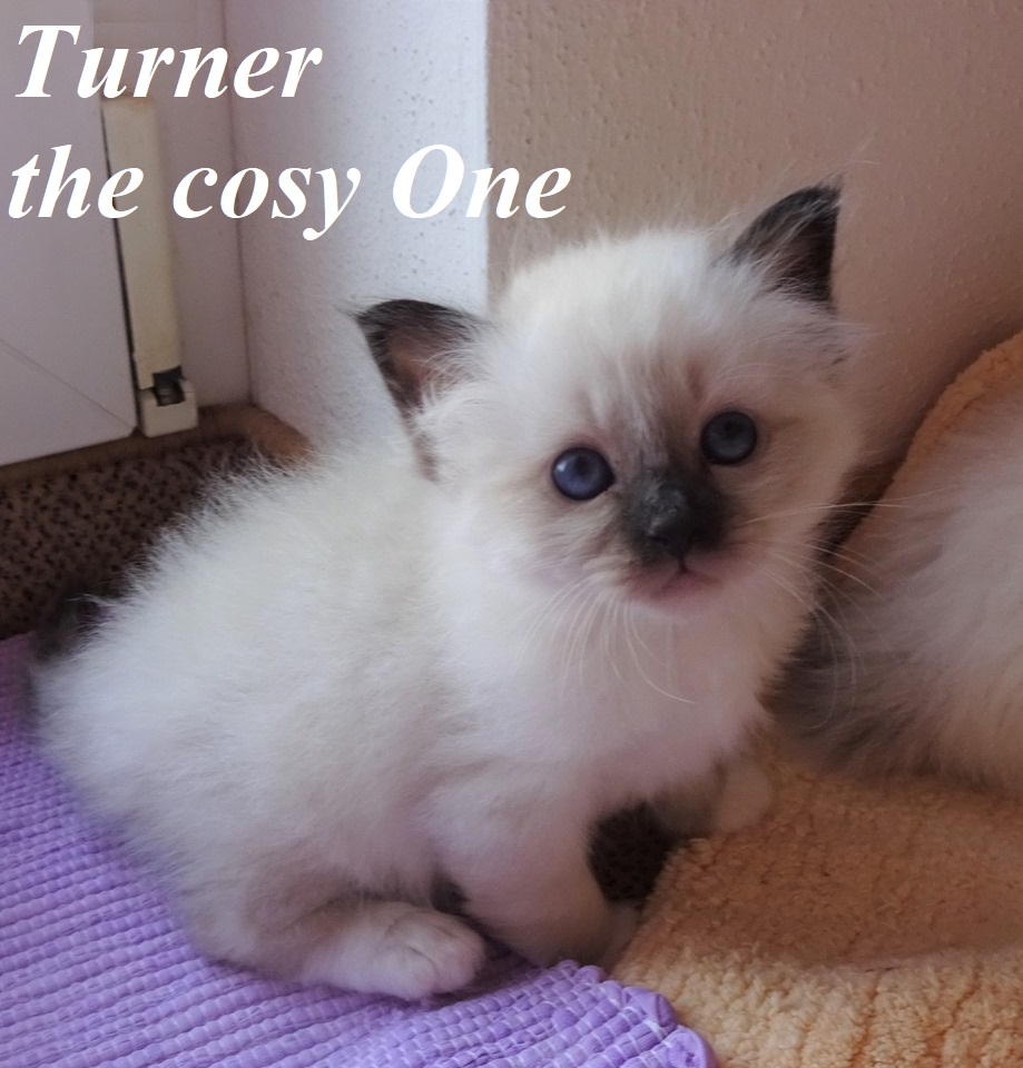 Turner