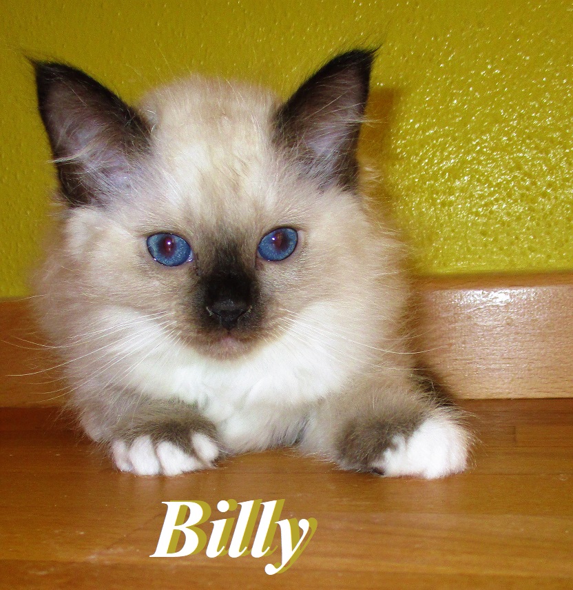 Billy