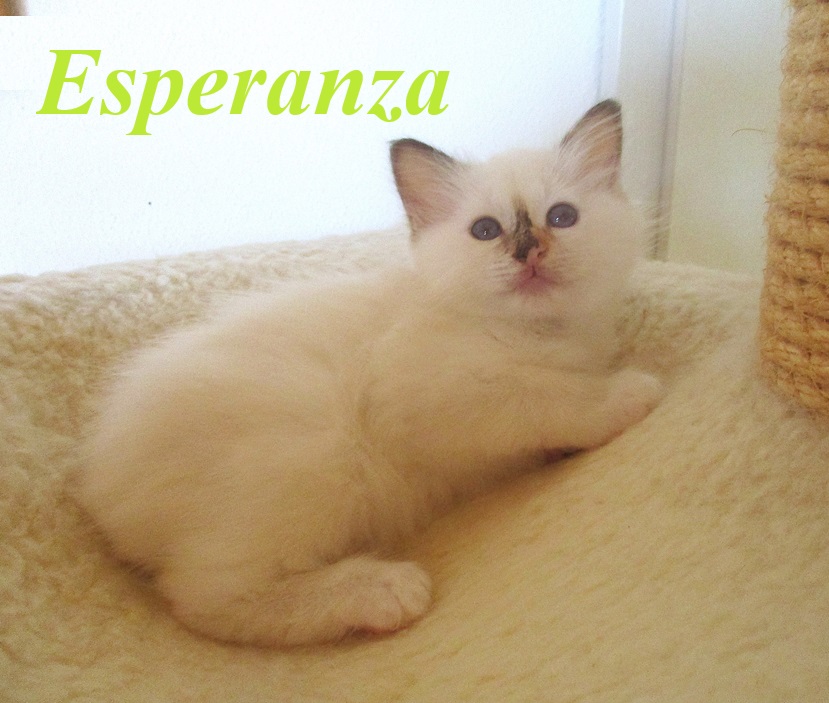 Esperanza