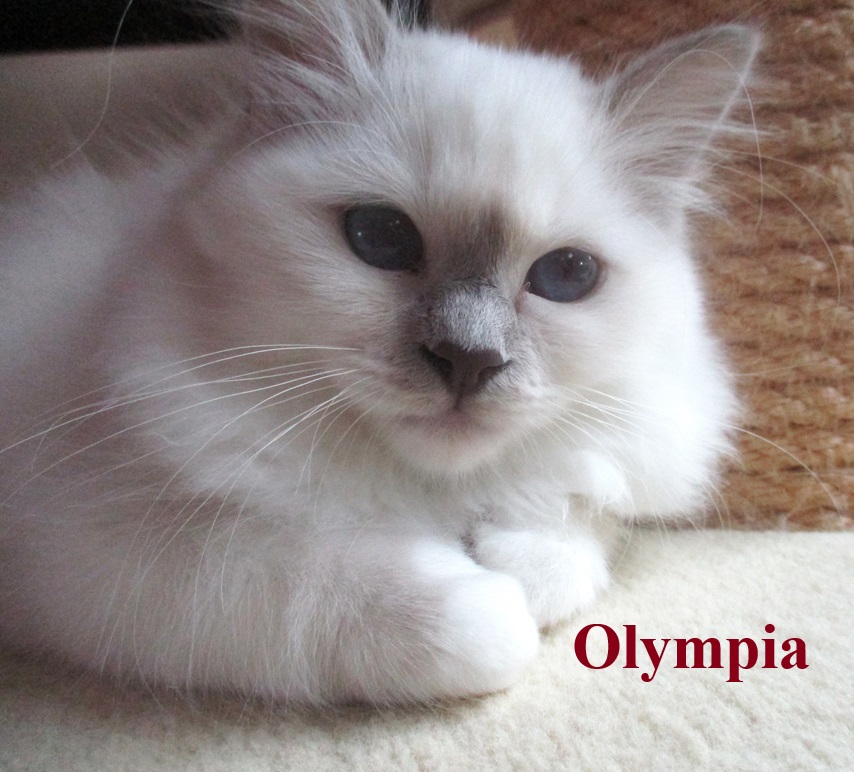 Olympia