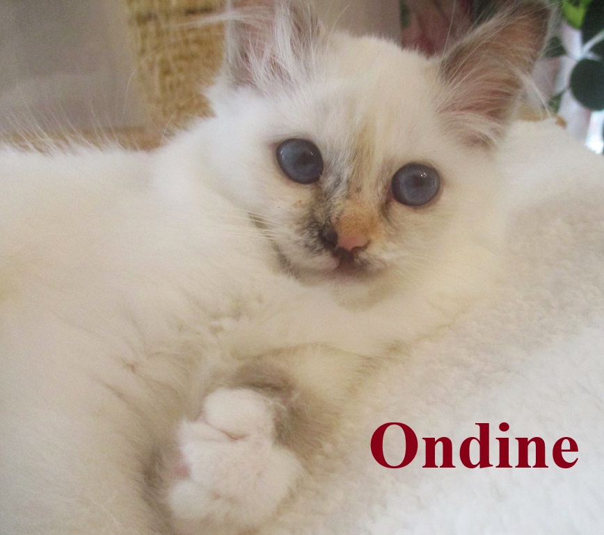 Ondine