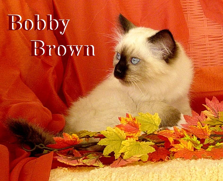 Bobby Brown