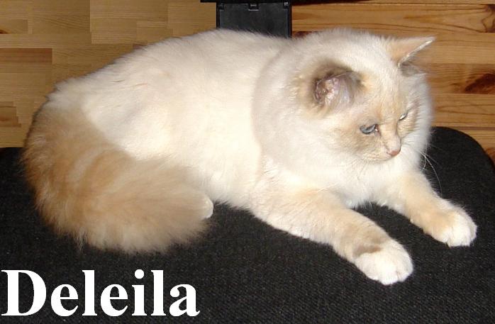 Arakan Yoma´s Deleila