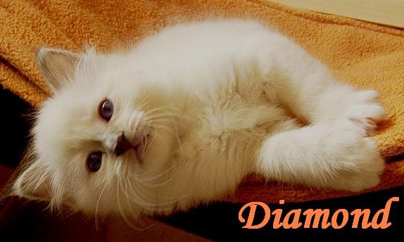 Diamond
