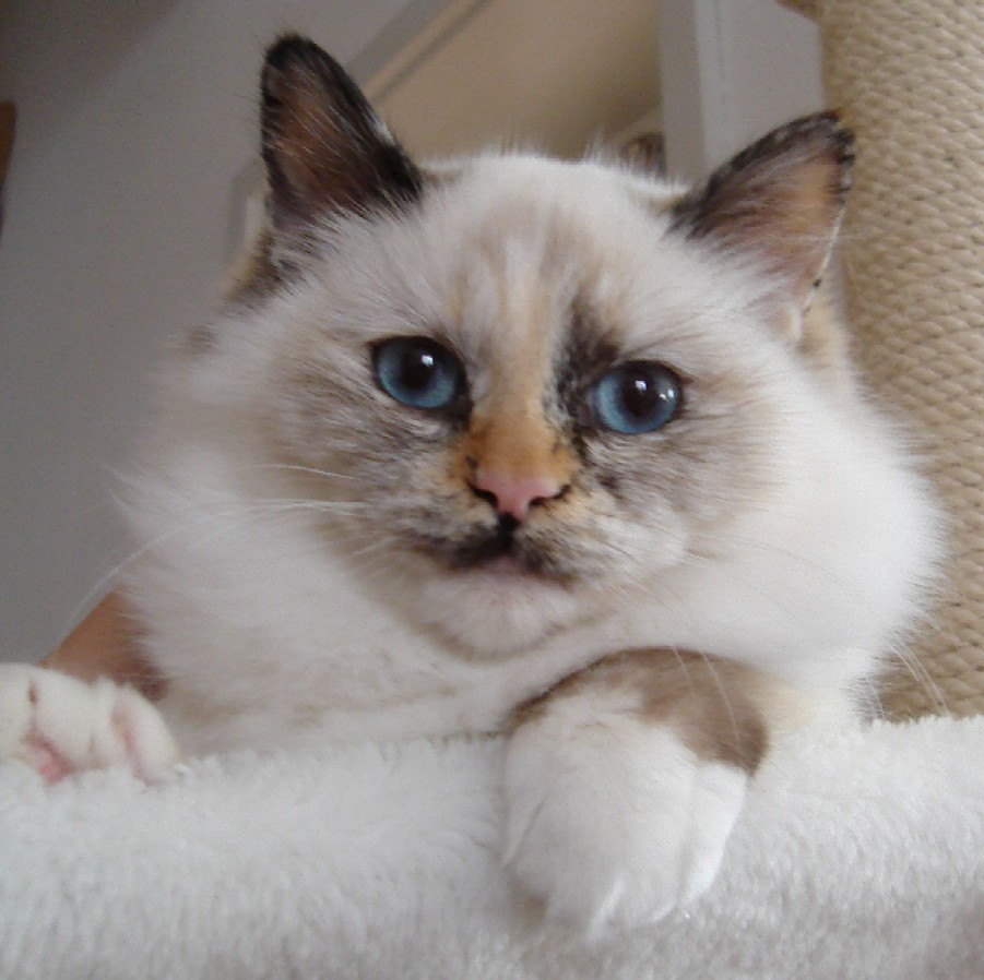 Emilia the cosy One
