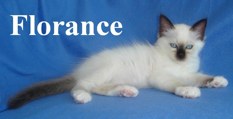 Florance the cosy One