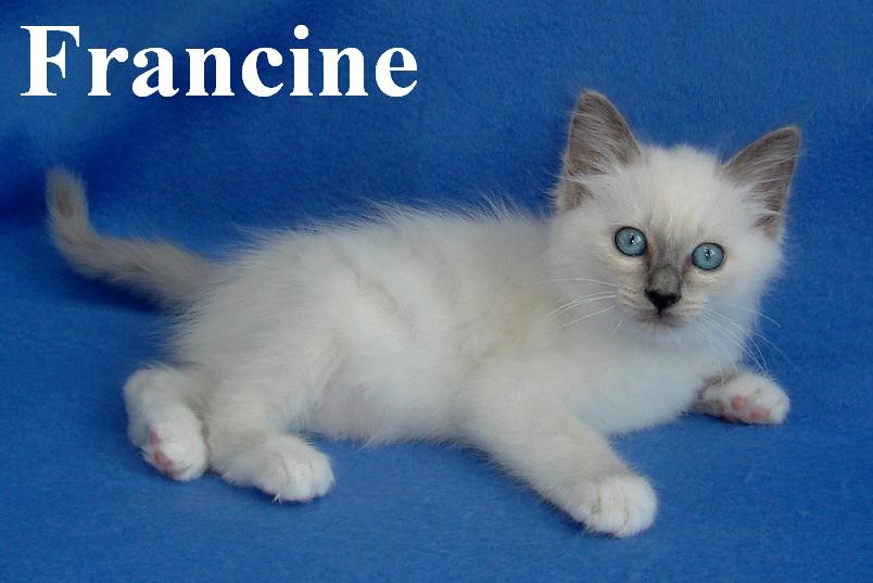 Francine