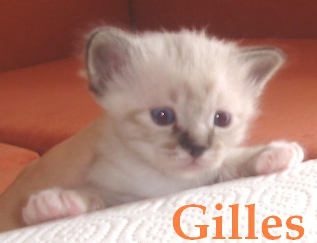 Gilles