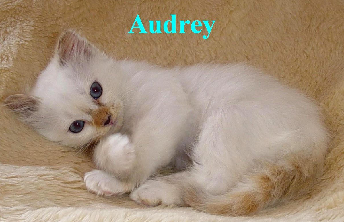 Audrey