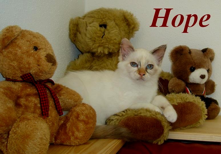 Hope