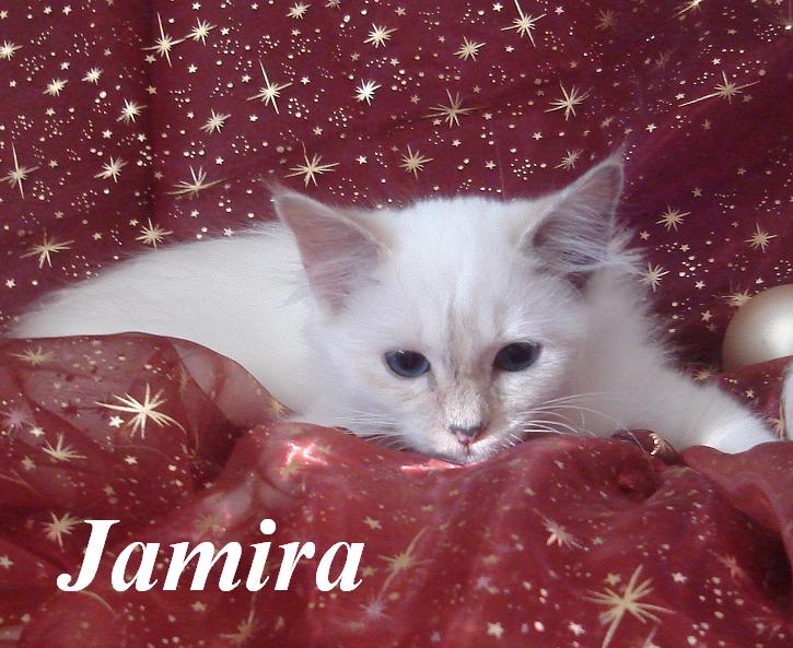 Jamira