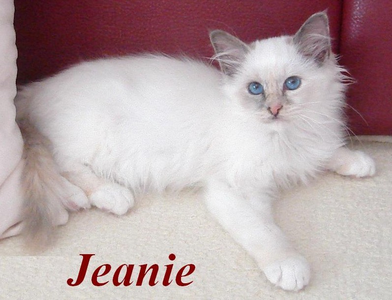 Jeanie