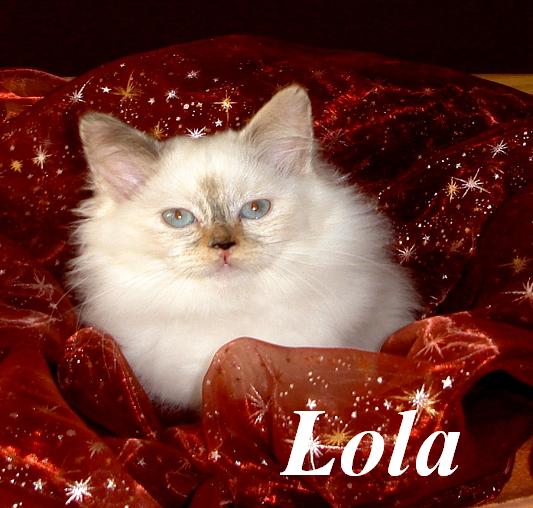 Lola