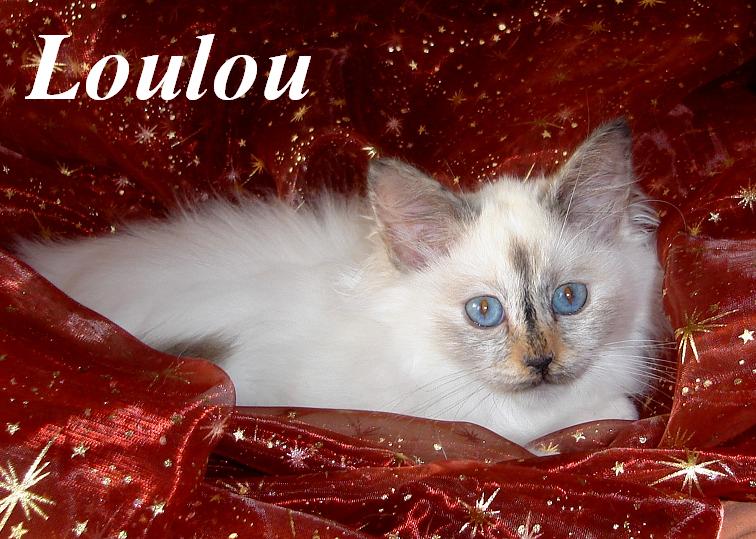Loulou