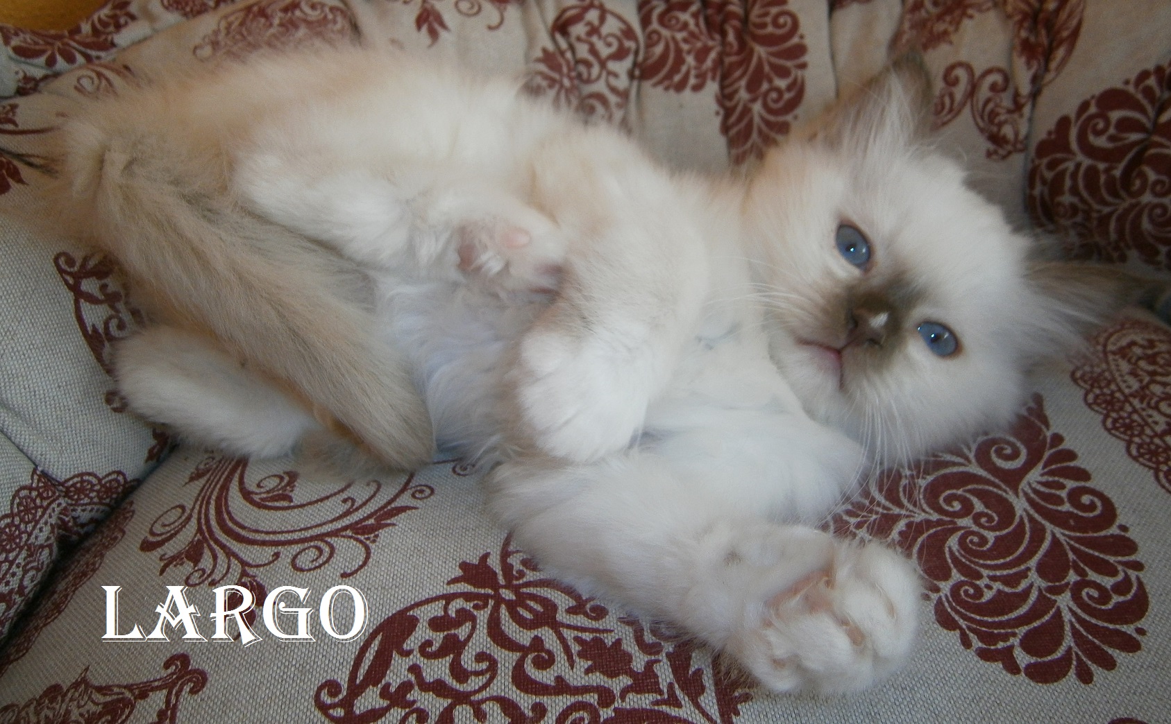 Largo
